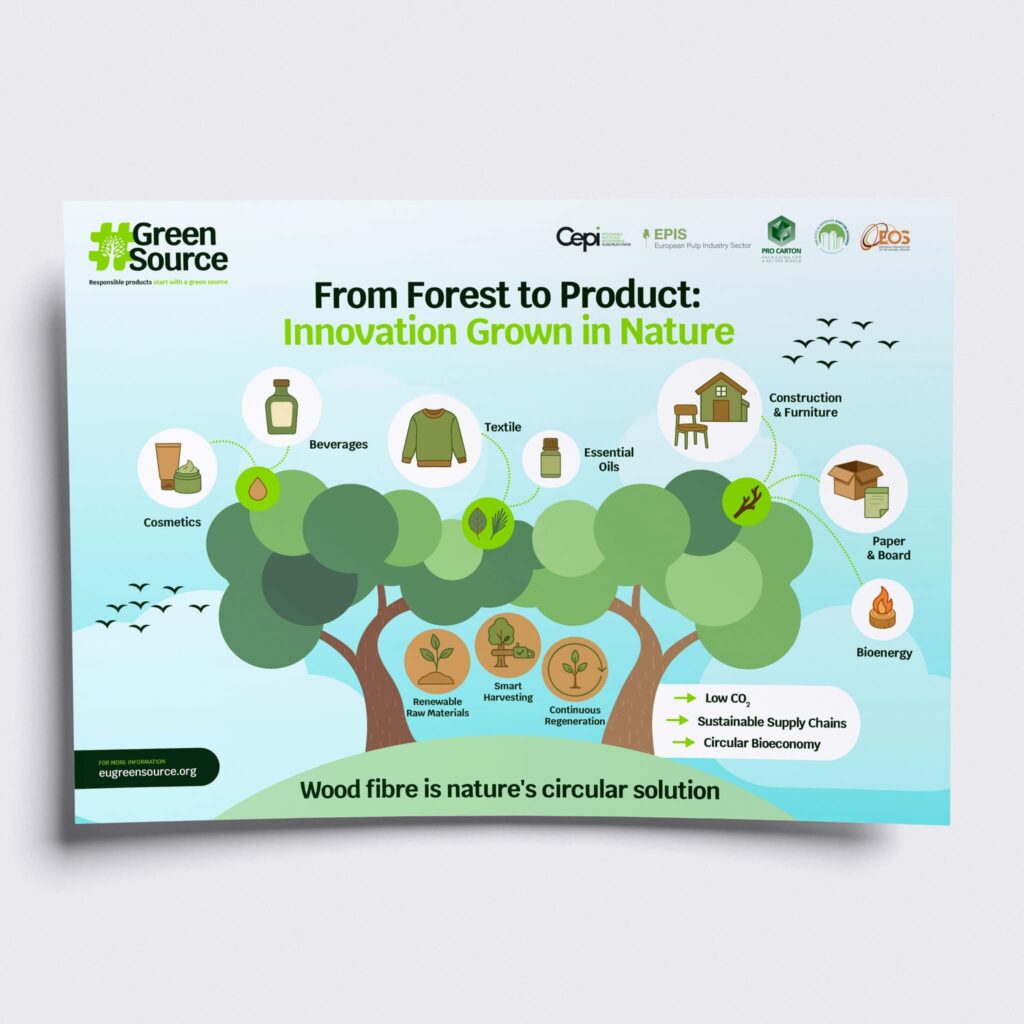 Infographie illustration circularité des forêts