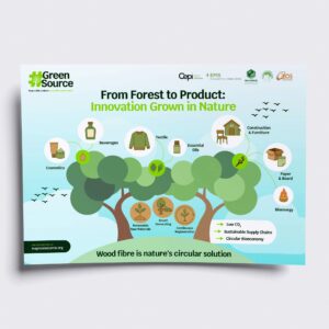 Infographie illustration circularité des forêts